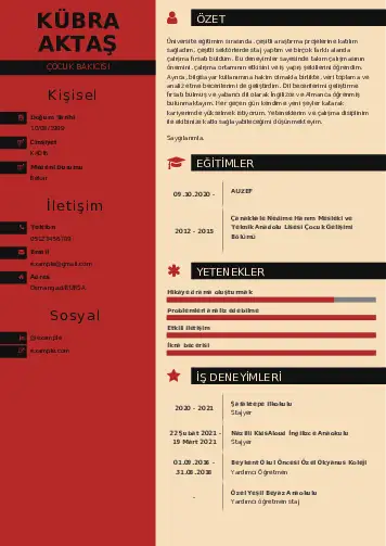 Çocuk Bakıcısı CV Örnekleri cv indir